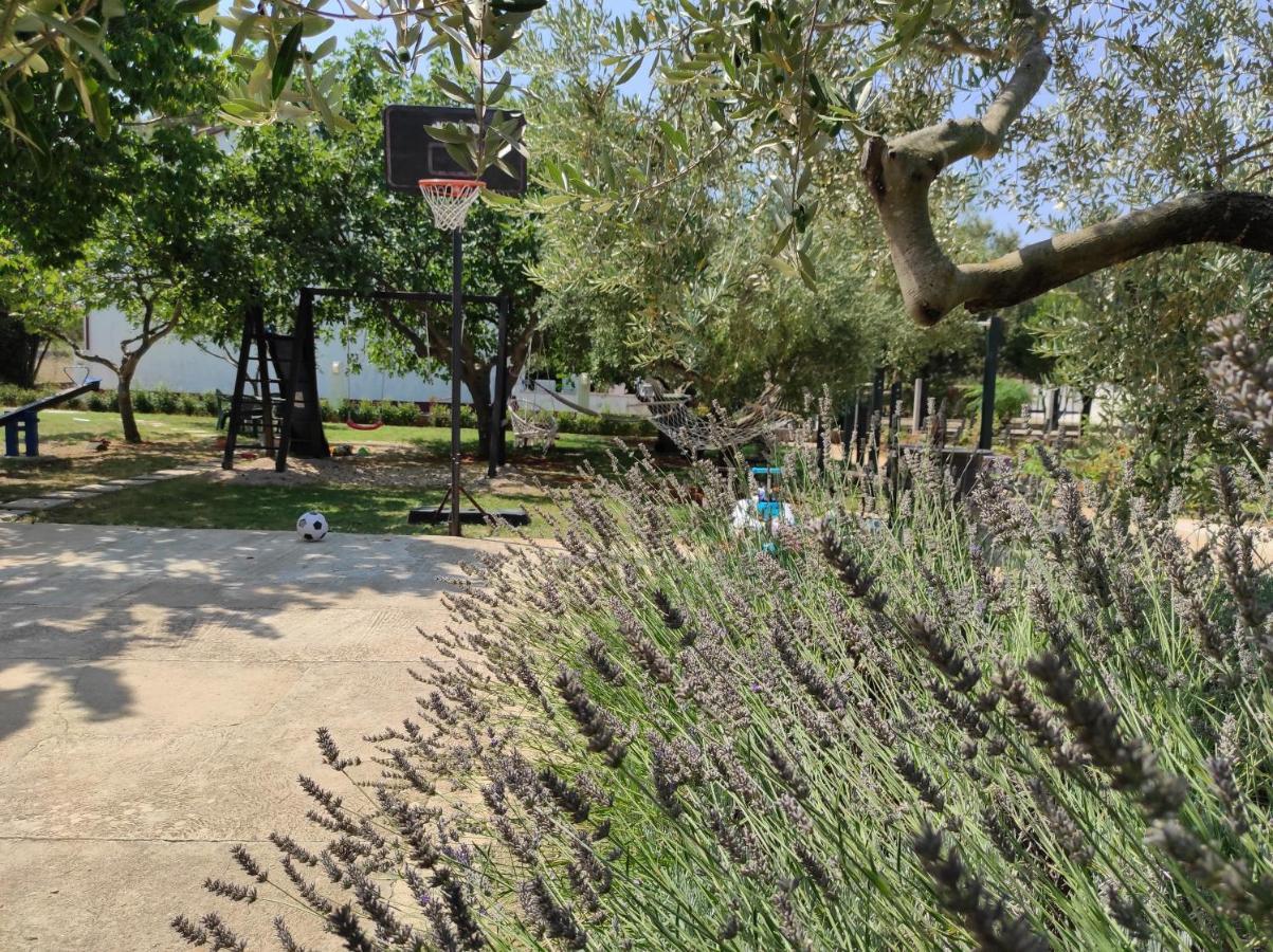 Apartments Zaton Draga Dış mekan fotoğraf