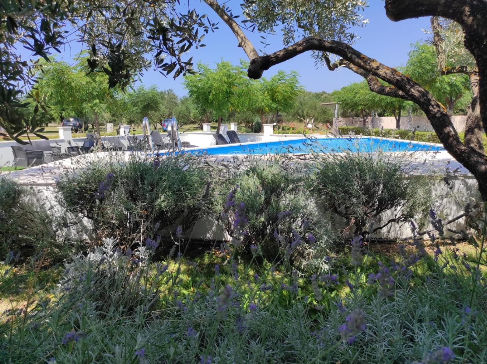 Apartments Zaton Draga Dış mekan fotoğraf