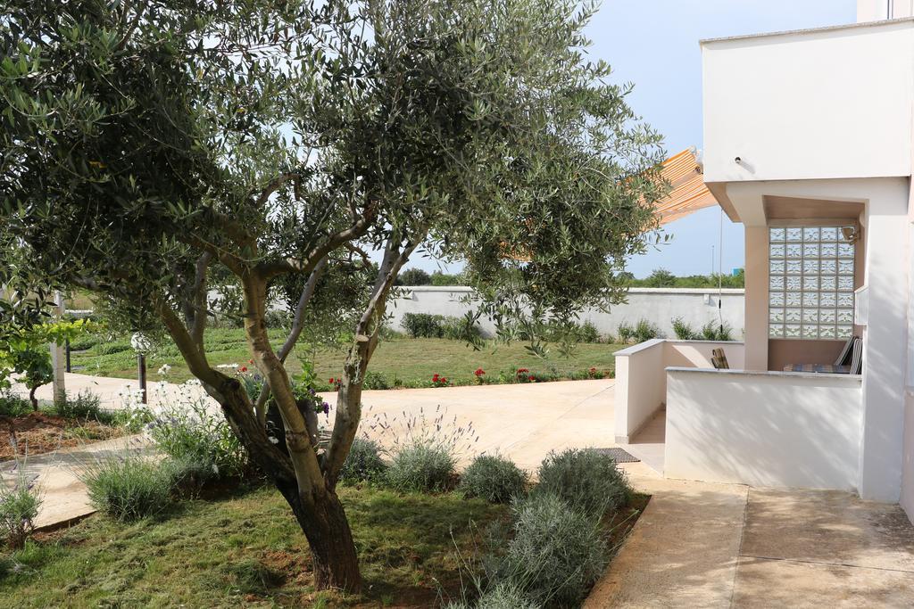 Apartments Zaton Draga Dış mekan fotoğraf