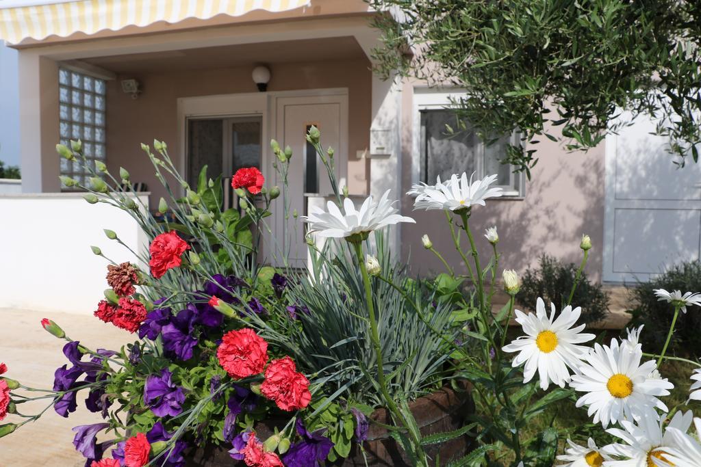 Apartments Zaton Draga Dış mekan fotoğraf