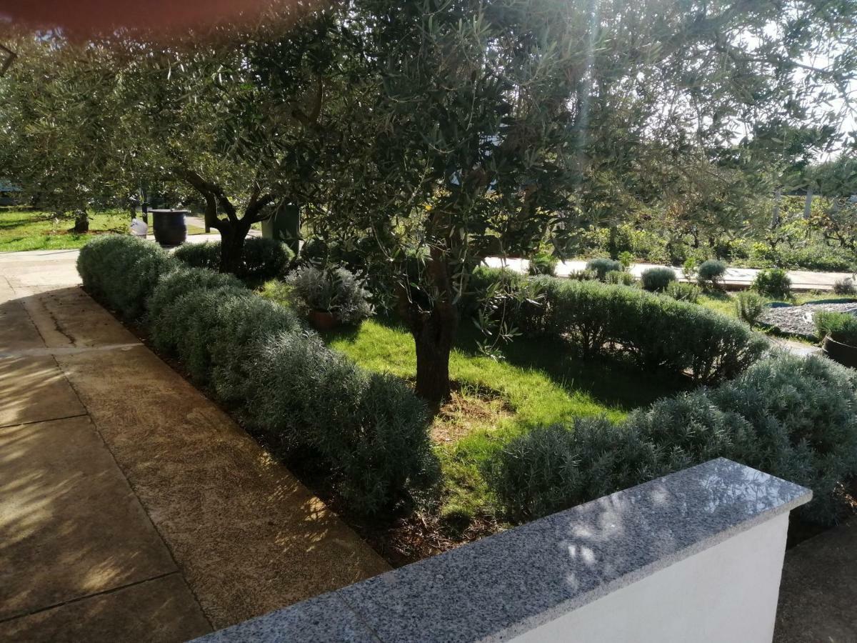 Apartments Zaton Draga Dış mekan fotoğraf