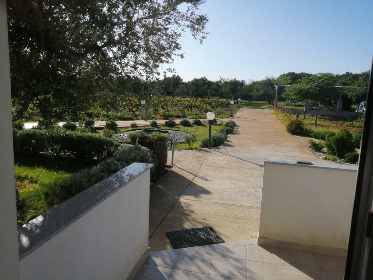 Apartments Zaton Draga Dış mekan fotoğraf